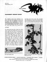 Insect answers: Raspberry crown borer