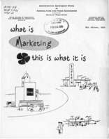What is marketing this is what it is