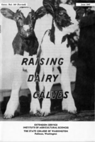 Raising dairy calves