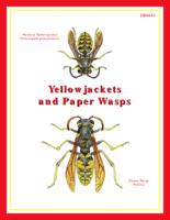 Yellowjackets and paper wasps