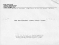 Control of symphylan in commercial plantings of Washington
