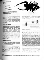 Cockroach prevention and control