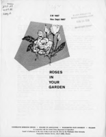 Roses in your garden