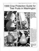 1999 crop protection guide for tree fruits in Washington