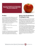 2019 cost estimates of establishing, producing, and packing Honeycrisp apples in Washington