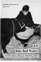 4-H baby beef project