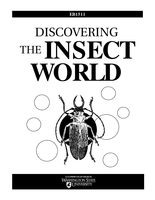 Discovering the Insect World