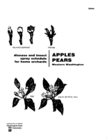Disease and insect spray program for home gardens: Apples, pears: Western Washington
