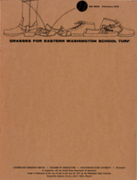 Grasses for eastern Washington school turf