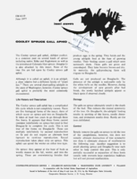 Cooley spruce gall aphid