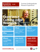 NARA Summer Undergraduate Research Experience