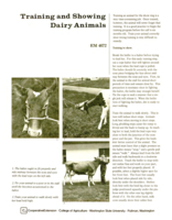 Training and showing dairy animals