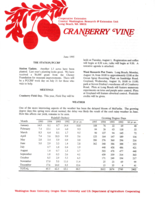 Cranberry Vine, June 1995