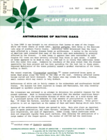 Plant diseases: Anthracnose of native oaks