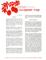 Cranberry Vine, January 1998