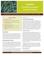 Vegetables: Growing cucumbers in home gardens