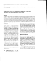 Observations on the life history of the sagebrush sheep moth, Hemileuca hera hera (Lepidoptera: Saturniidae)