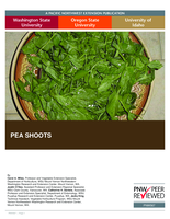 Pea shoots