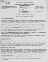 Preparing rabbits for show