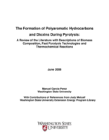 The formation of polyaromatic hydrocarbons and dioxins during pyrolysis : a review of the literature with descriptions of biomass composition, fast pyrolysis technologies and thermochemical reactions