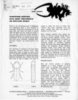 Wireworm control with seed treatments on dry land wheat