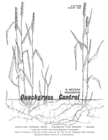 Quackgrass control in western Washington