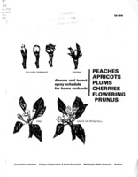 Disease and insect spray program for home gardens: Peaches, apricots, plums, cherries, flowering prunus