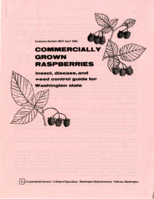 Commercially grown raspberries: Insect, disease, and weed control guide for Washington state