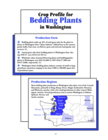 Crop Profile for Bedding Plants in Washington