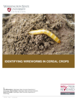 Identifying wireworms in cereal crops