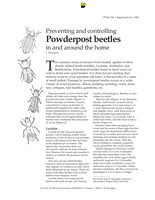 Preventing Powderpost Beetles in and Around the Home
