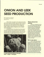 Onion and leek seed production