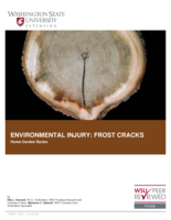 Environmental injury: Frost cracks