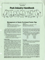 Management of newly purchased feeder pigs