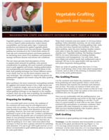 Vegetable grafting: Eggplants and tomatoes