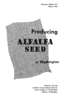 Producing alfalfa seed in Washington