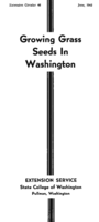Growing grass seeds in Washington