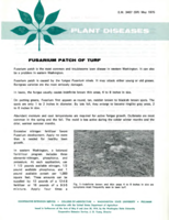 Plant diseases: Fusarium patch of turf