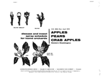 Disease and insect spray program for home gardens: Apples, pears, crab apples: eastern Washington