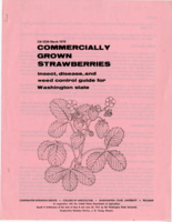 Commercially grown strawberries: Insect, disease, and weed control guide for Washington state