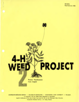 4-H weed project 2