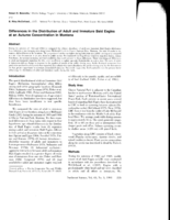 Differences in the Distribution of Adult and Immature Bald Eagles at an Autumn Concentration in Montana
