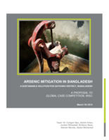 Arsenic Mitigation in Bangladesh