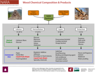 Wood Chemical Composition and Products