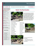 Lowdown, August 2016