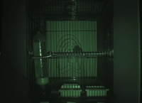 Video 25: Nighttime recording, pine siskins housed individually, winter