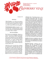 Cranberry Vine, December 1998