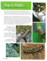 Bugs and Blights, May 2012