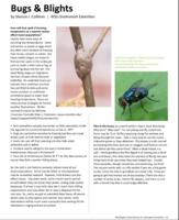 Bugs and Blights, February 2014