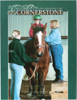 Cornerstone, Spring 1999